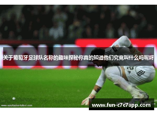 关于葡萄牙足球队名称的趣味探秘你真的知道他们究竟叫什么吗呢呀 关于葡萄牙足球队名称的趣味探秘你真的知道他们究竟叫什么吗呢呀