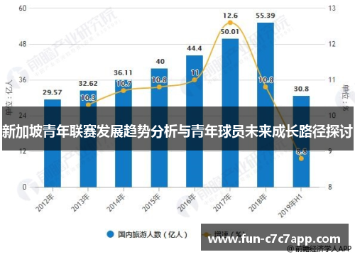 新加坡青年联赛发展趋势分析与青年球员未来成长路径探讨