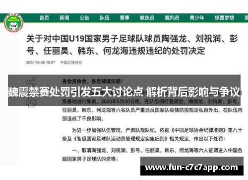 魏震禁赛处罚引发五大讨论点 解析背后影响与争议 魏震禁赛处罚引发五大讨论点 解析背后影响与争议